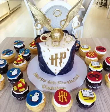 harry-potter-cake-bundle