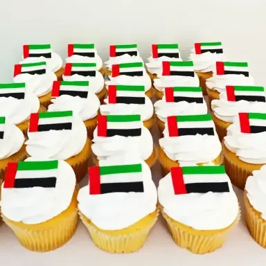 uae-national-day-cupcakes-2
